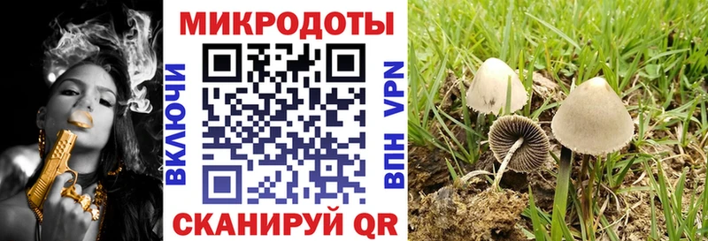 Псилоцибиновые грибы ЛСД Сосновка